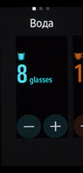 Экраны Samsung Gear Fit 2. Рис. 1
