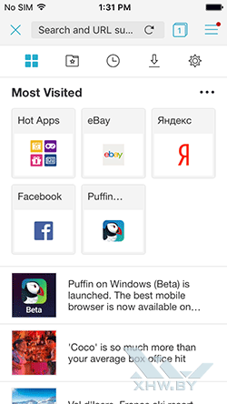  Puffin Browser  iPhone.  1