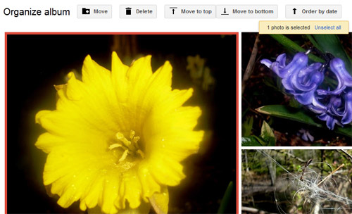 Google+ научился сортировать фотографии