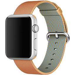 Apple Watch 2      2016 