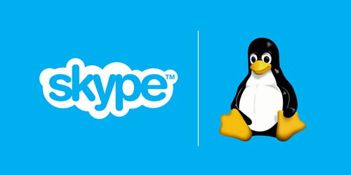 Skype  Linux   - 